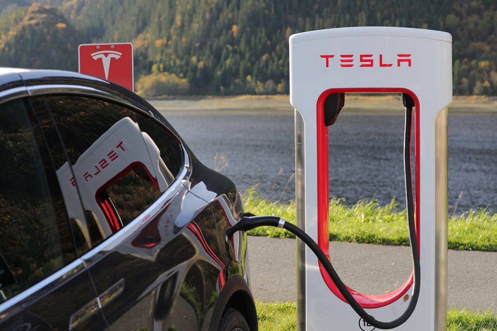 tesla social media pic